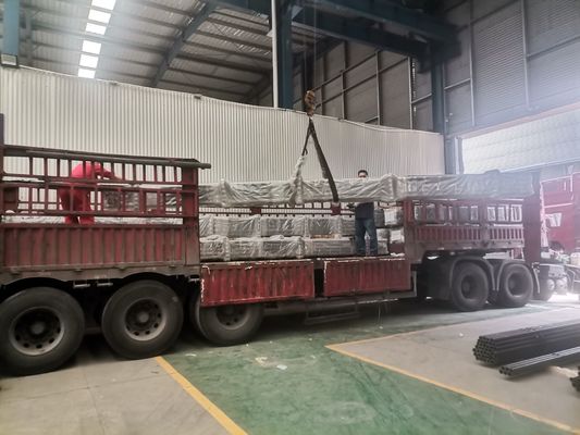 Válvula insertada subsuperficie de Rod Pump Double del lechón para la producción petrolífera