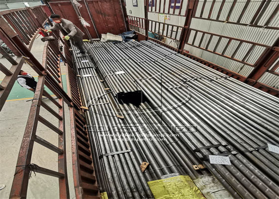 El lechón Roces del campo petrolífero del grado D K H para el pozo profundo PCP bombea