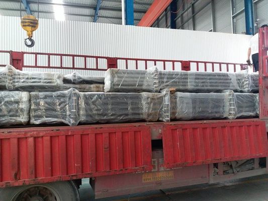 Tipo fijo lechón Rod Pump de API Tubing Pump Series Downhole