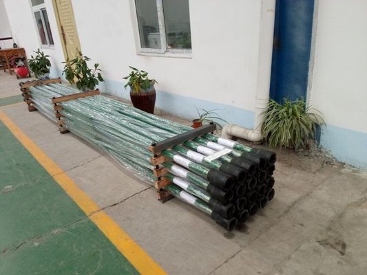 Mantenga y el lechón inferior Rod Pump Spray Metal Plunger