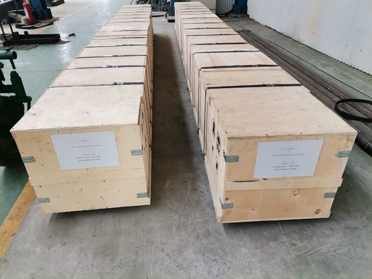 Lechón Rod Pump Extra Small Clearance del carburo del níquel para la producción petrolífera