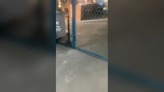 Émbolo de repuesto de bomba de varilla de bombeo